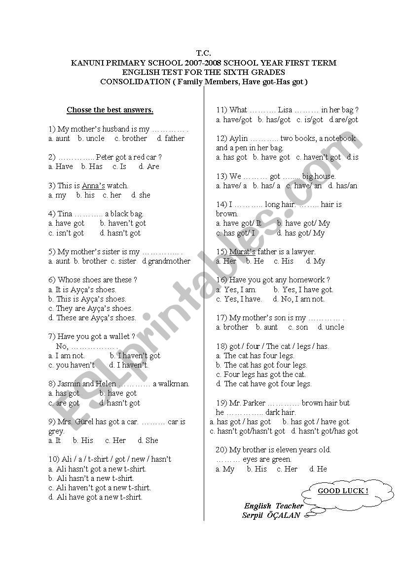 have got -has got worksheet