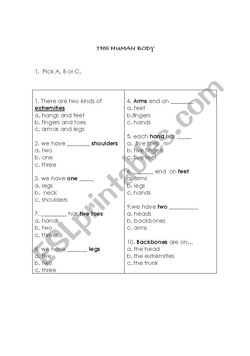 THE HUMAN BODY worksheet