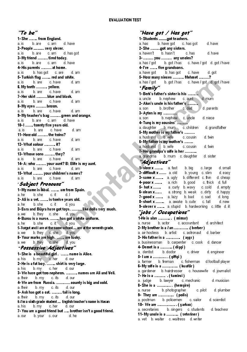 evaluation test worksheet