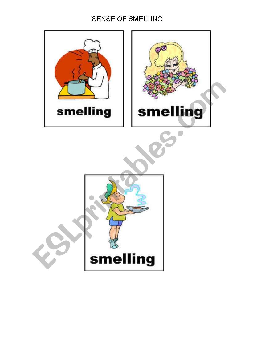 THE SENSE OF SMELLING worksheet