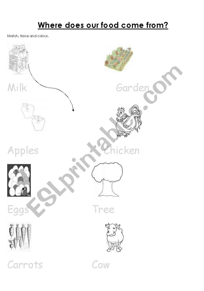 Food and where it comes from worksheet