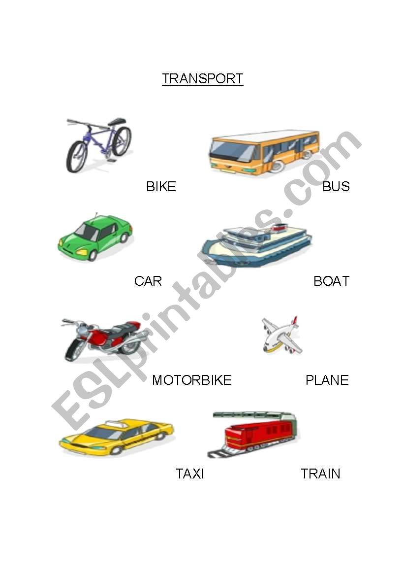 Transports worksheet