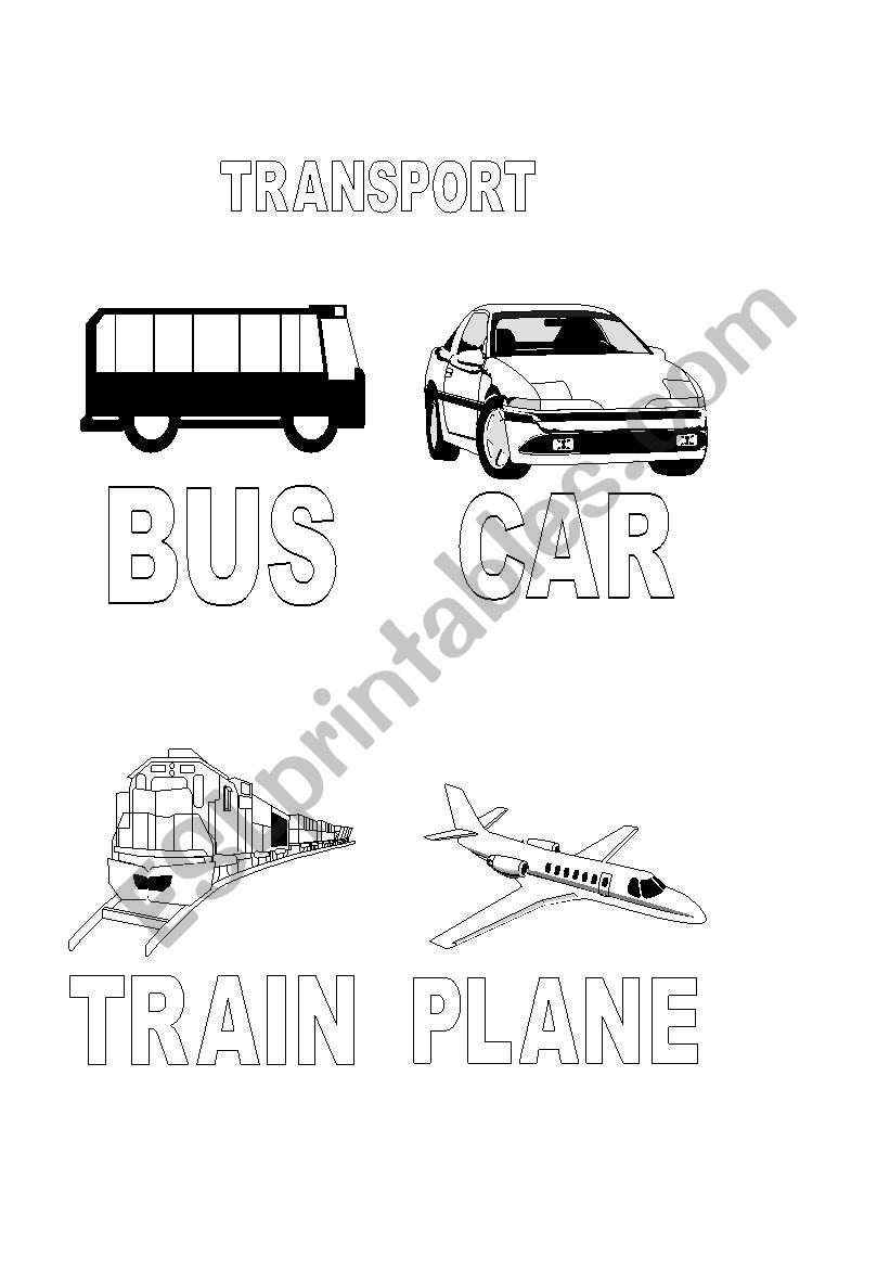 mains of transport worksheet