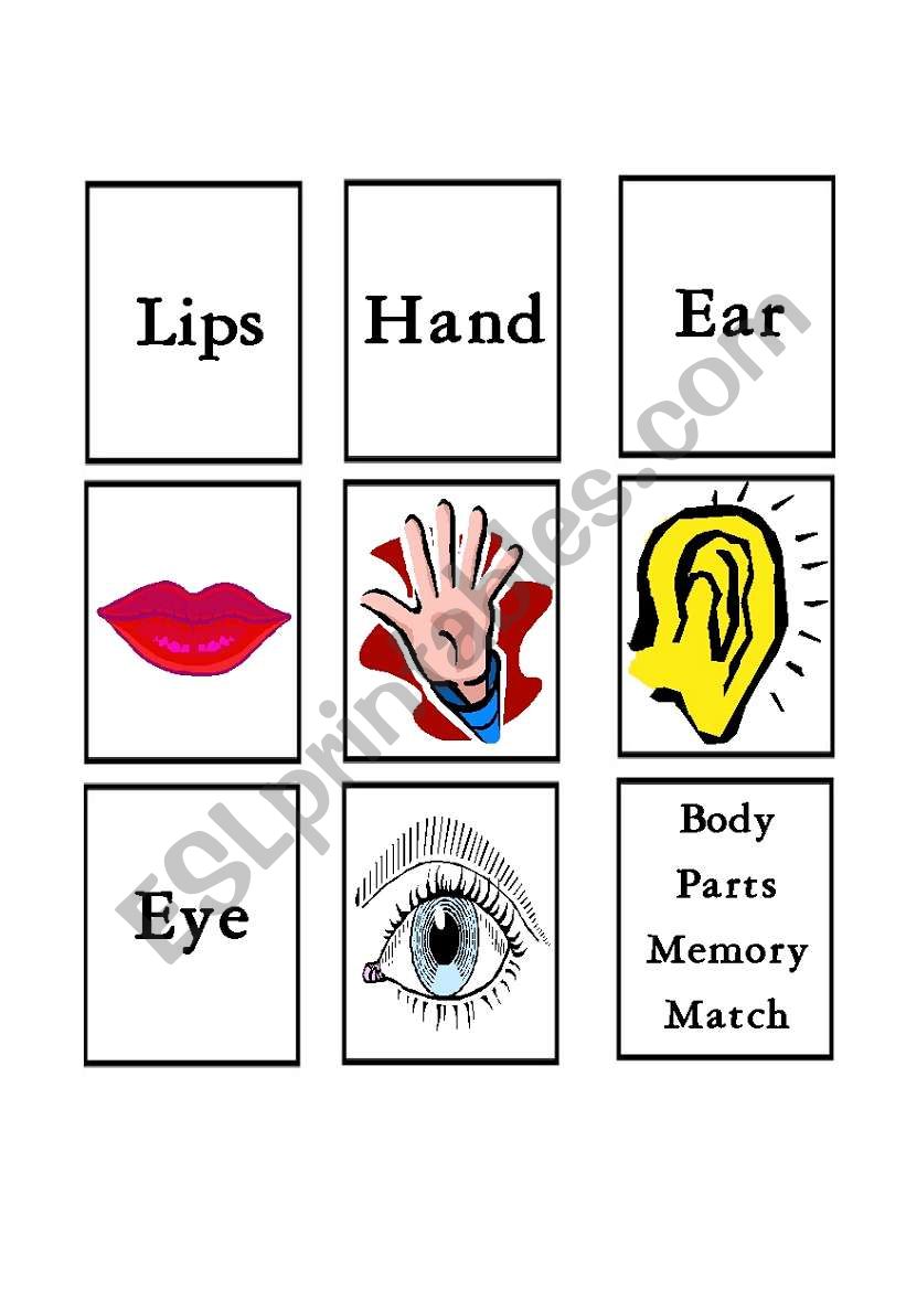 Body Parts match 1 of 2 worksheet