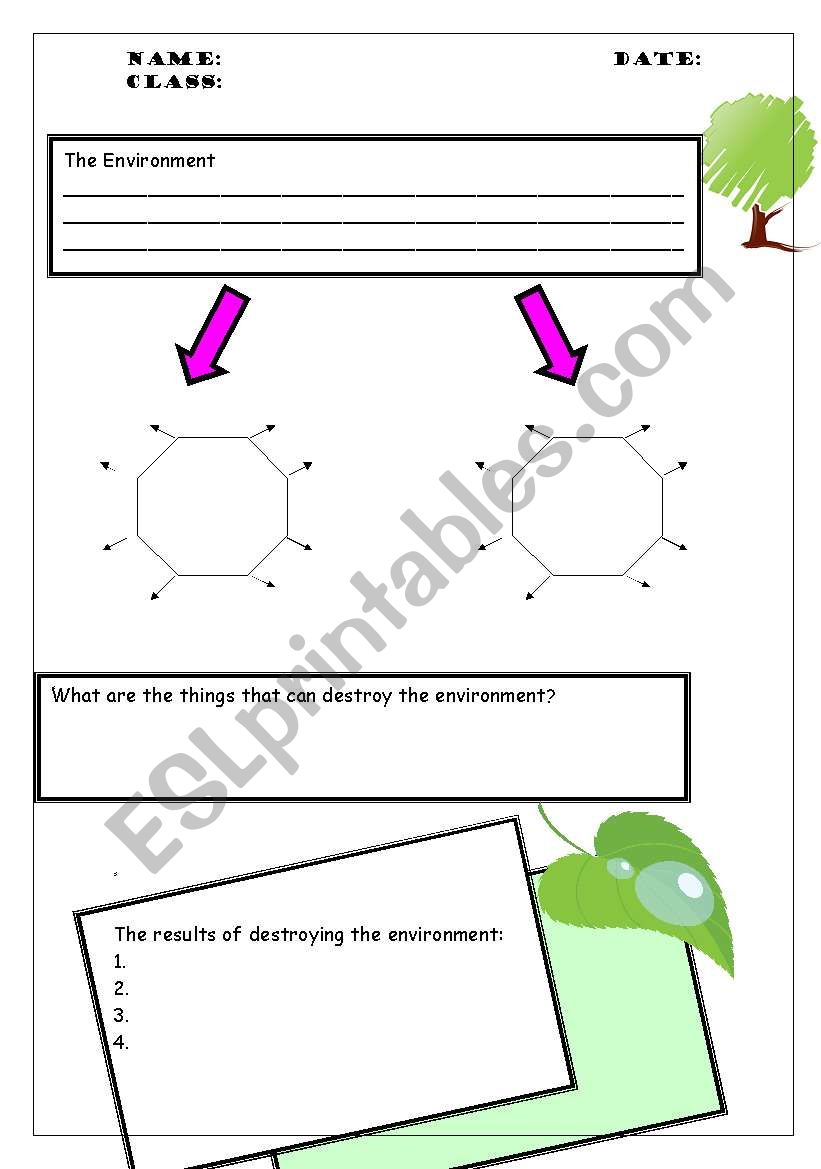 the environment worksheet