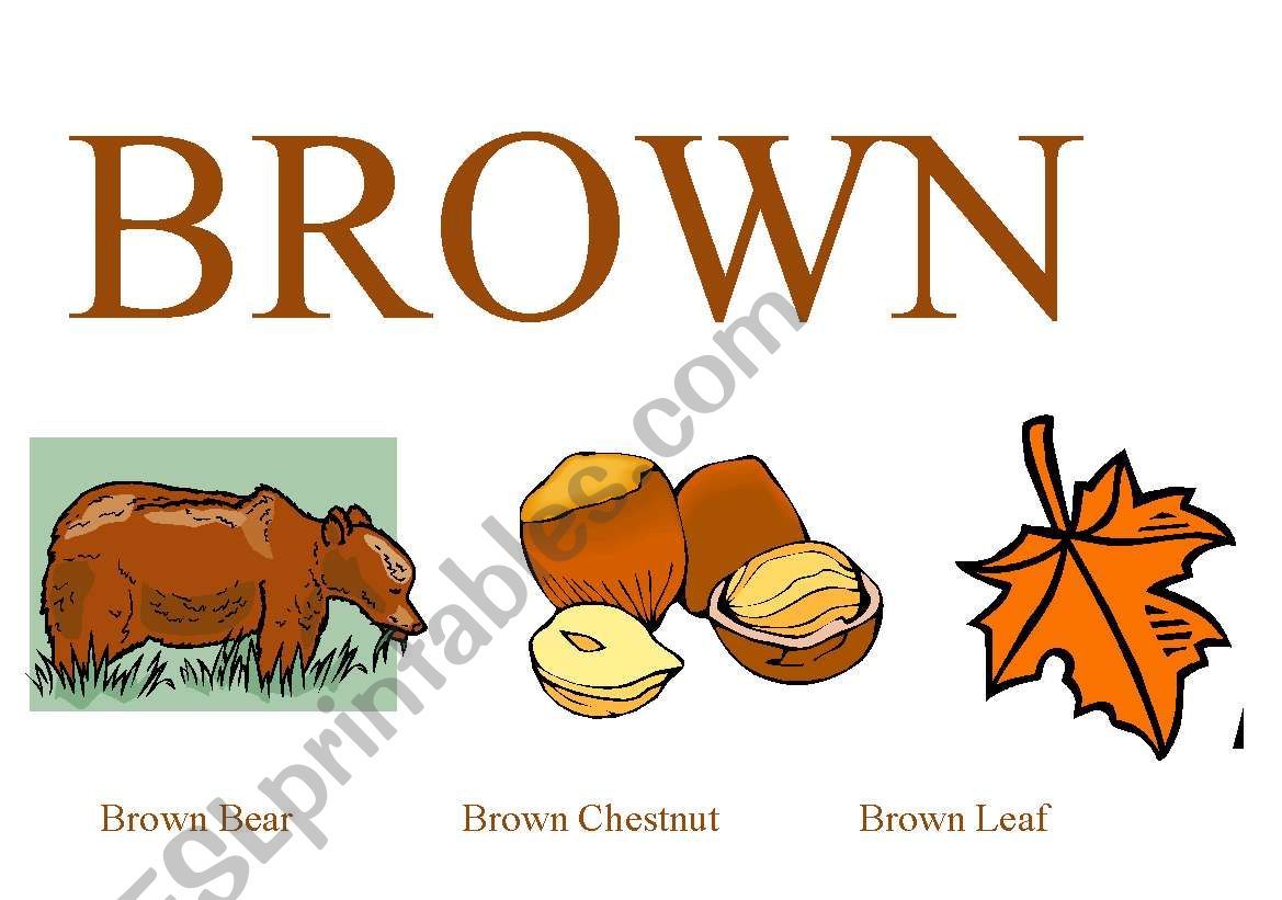 Brown Color worksheet