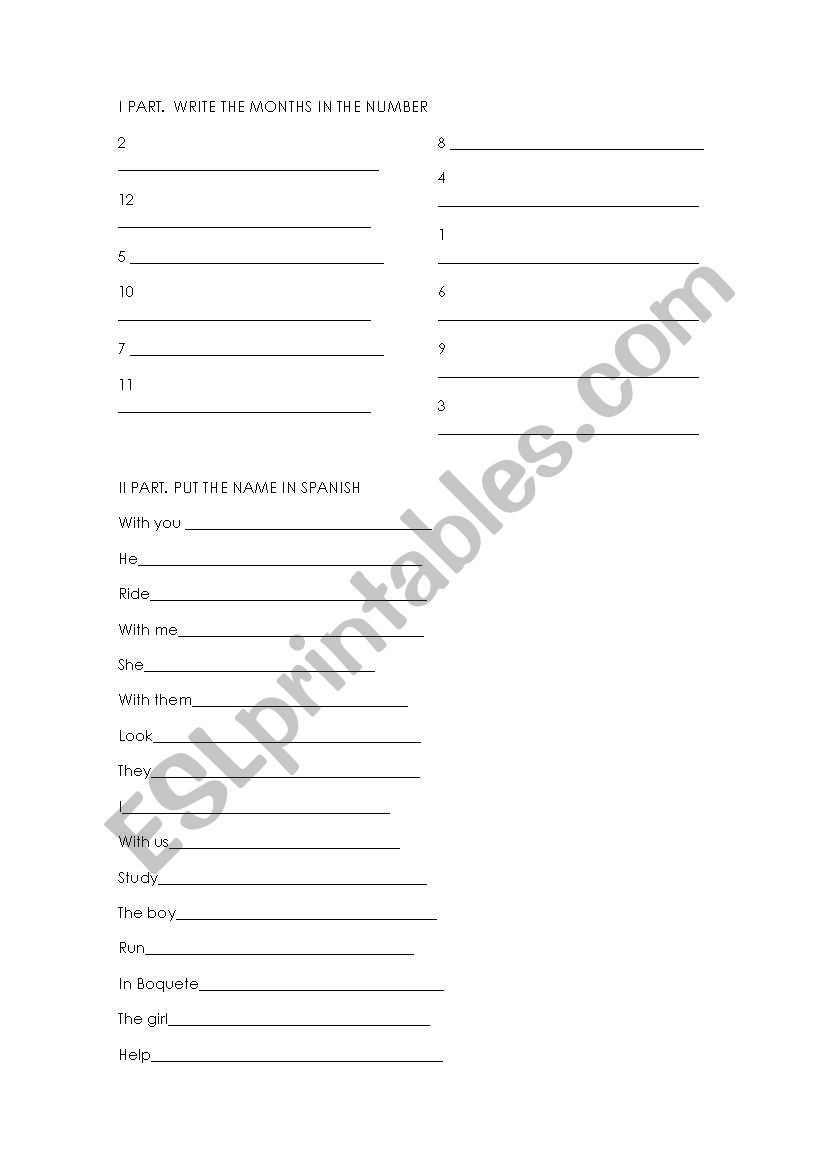 grammar quiz worksheet