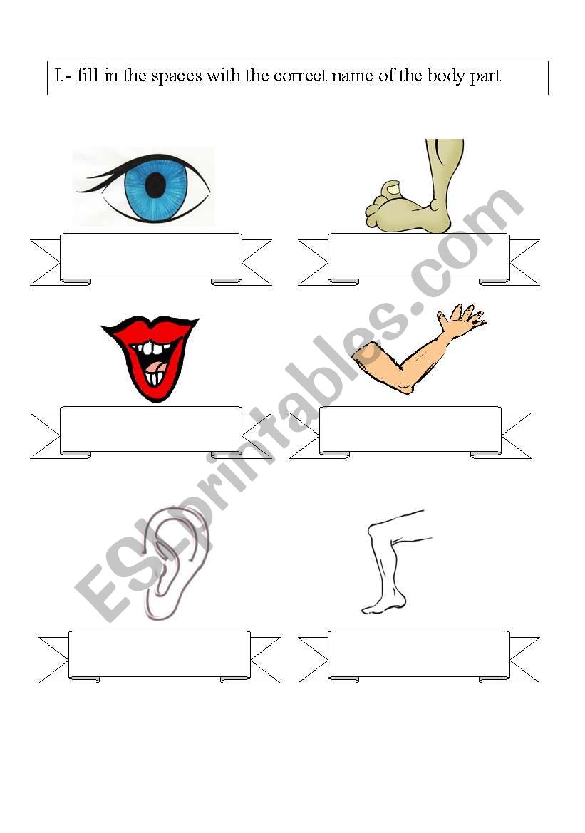 body parts worksheet