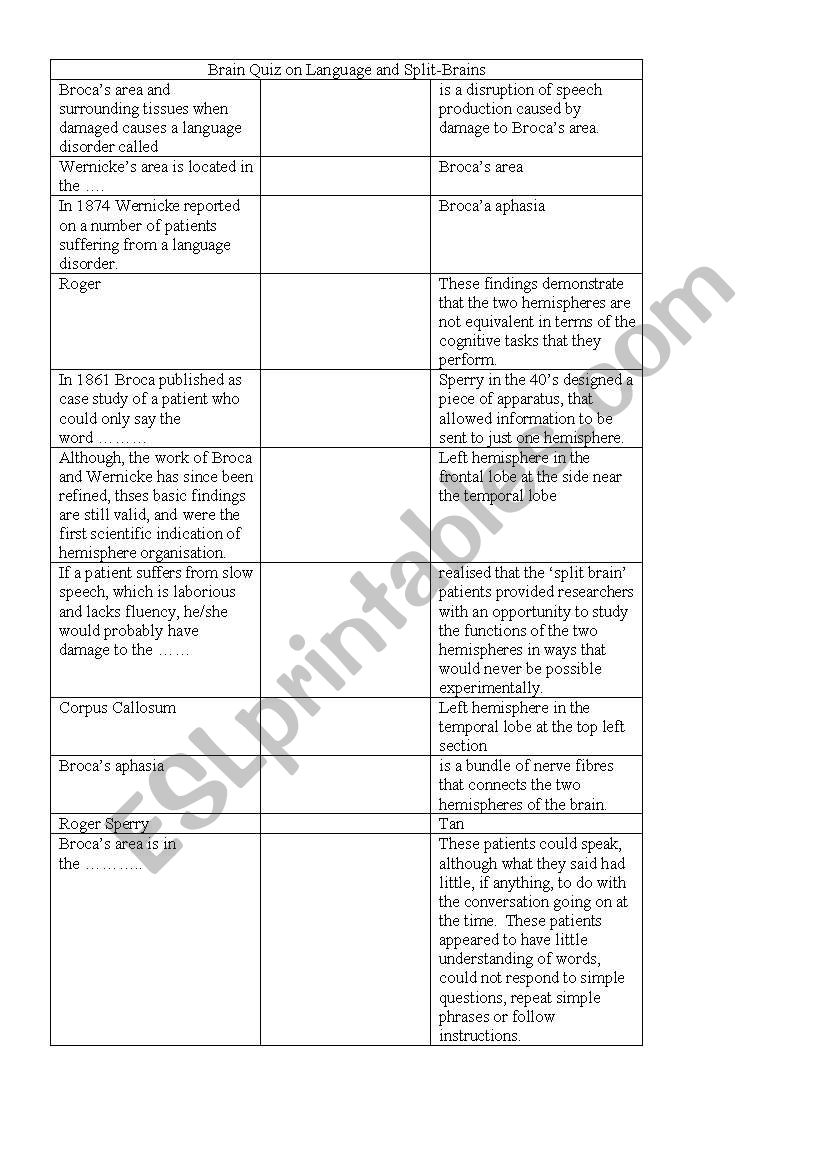 Brain Quiz matching sides worksheet