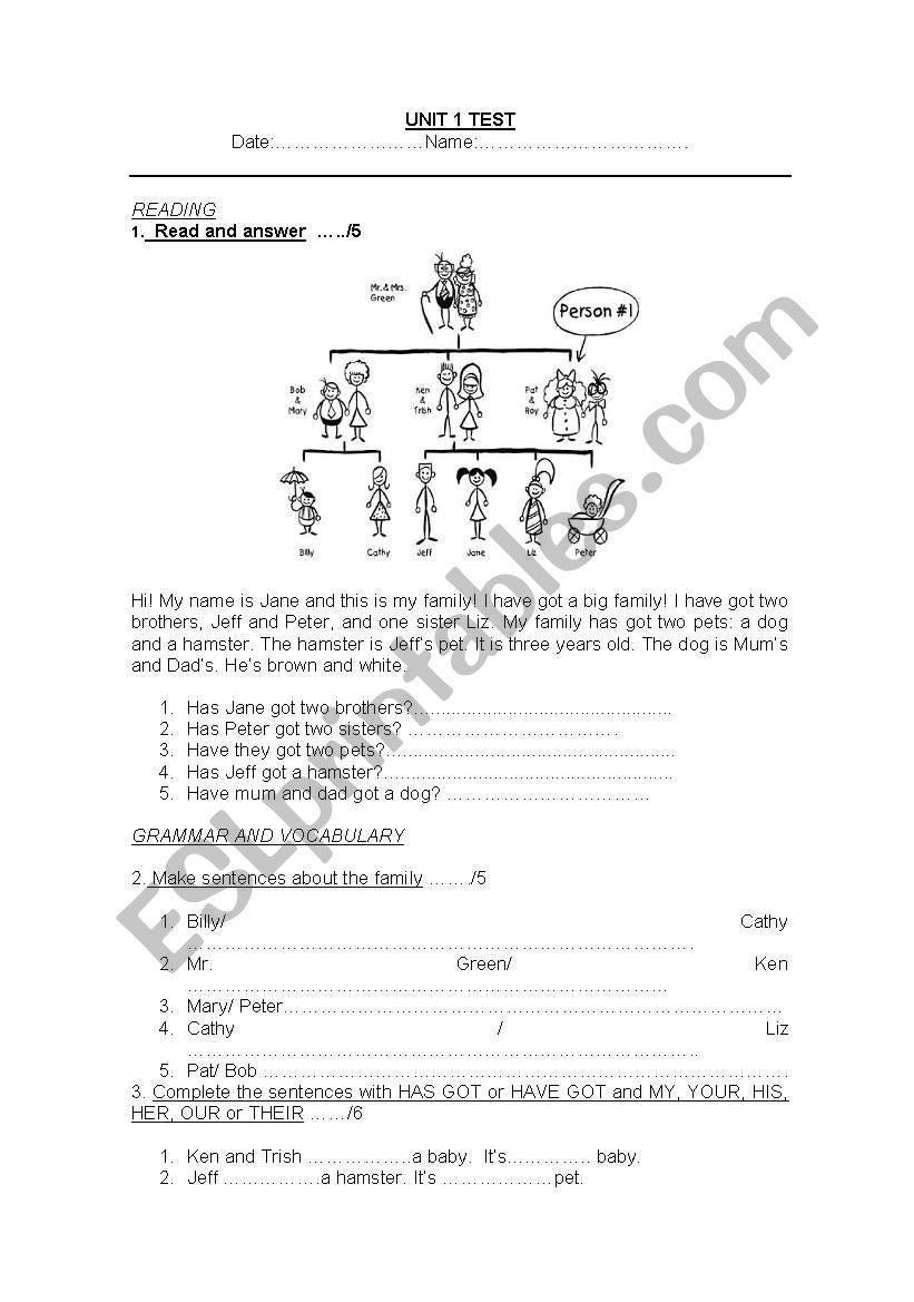 have got/has got worksheet