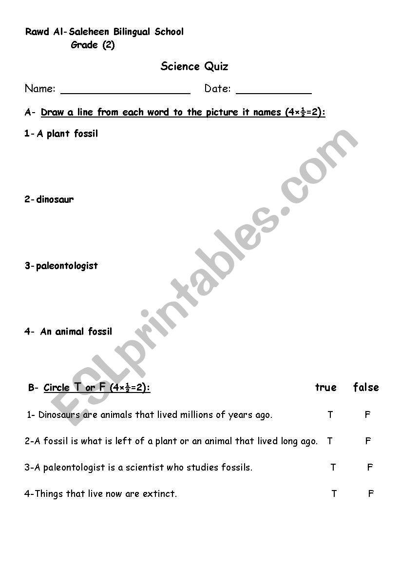 Science Quiz worksheet