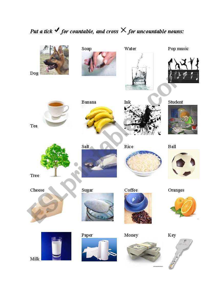 Countable and Uncountable Nouns