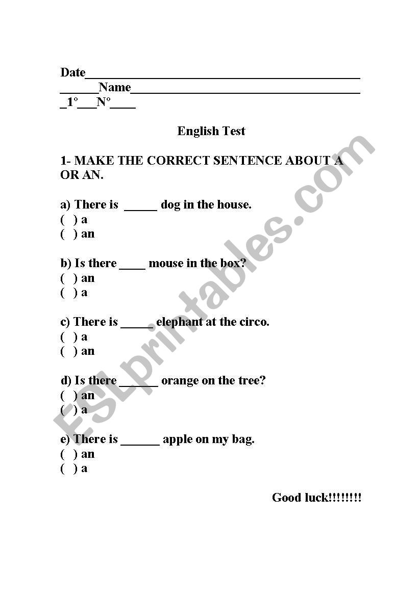 Definite article-A and An worksheet