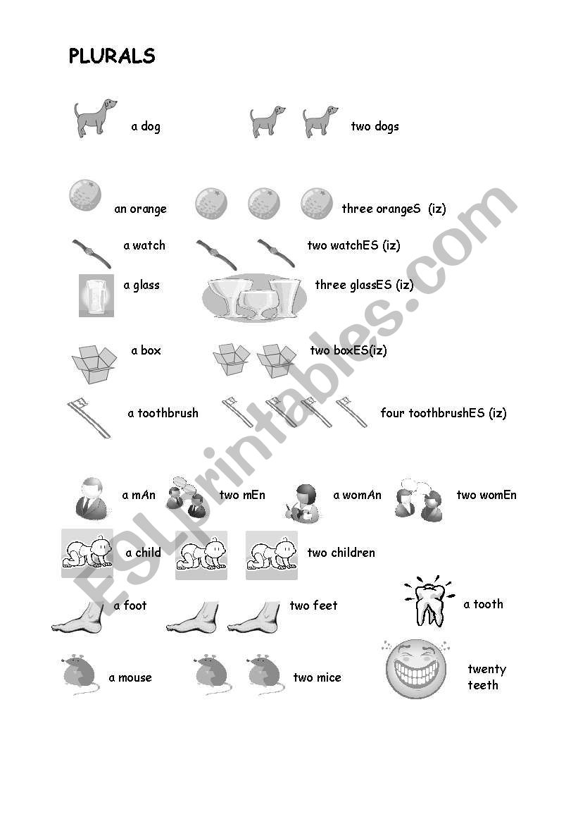 Plurals worksheet