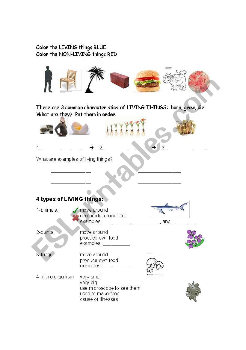 Living things worksheet