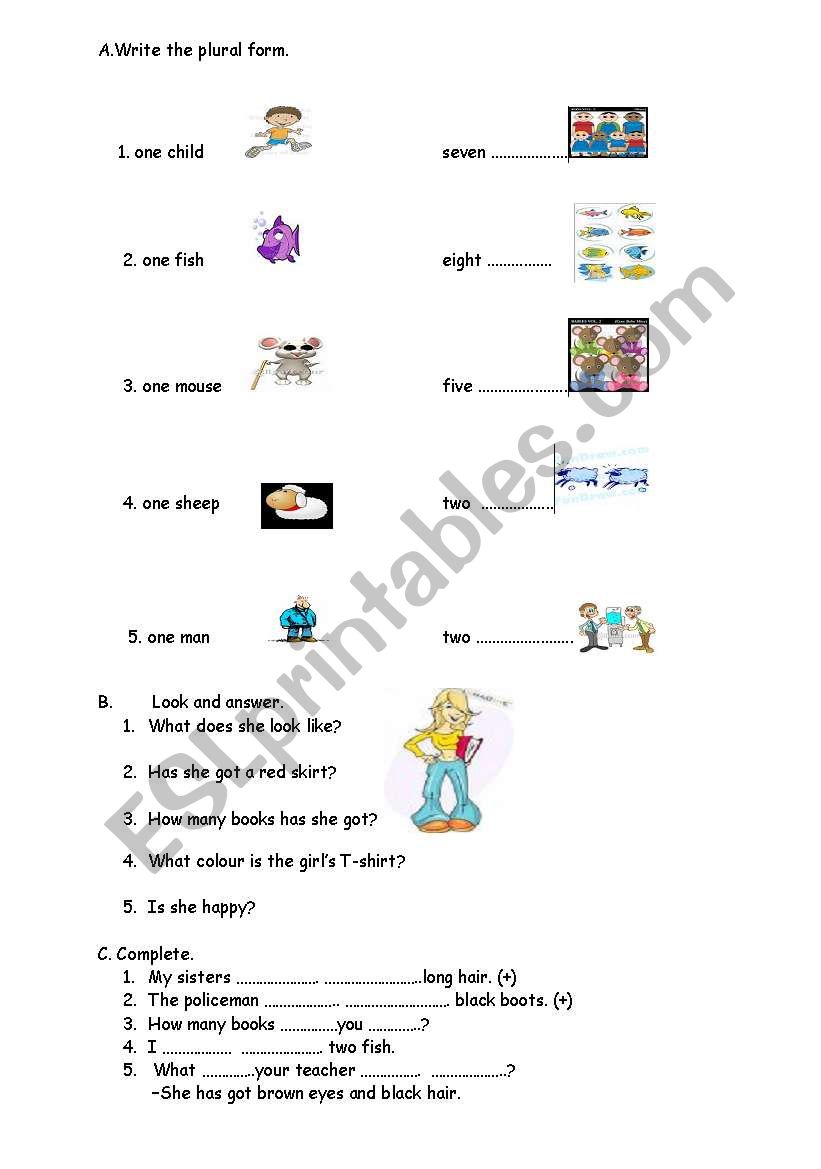 general revision worksheet