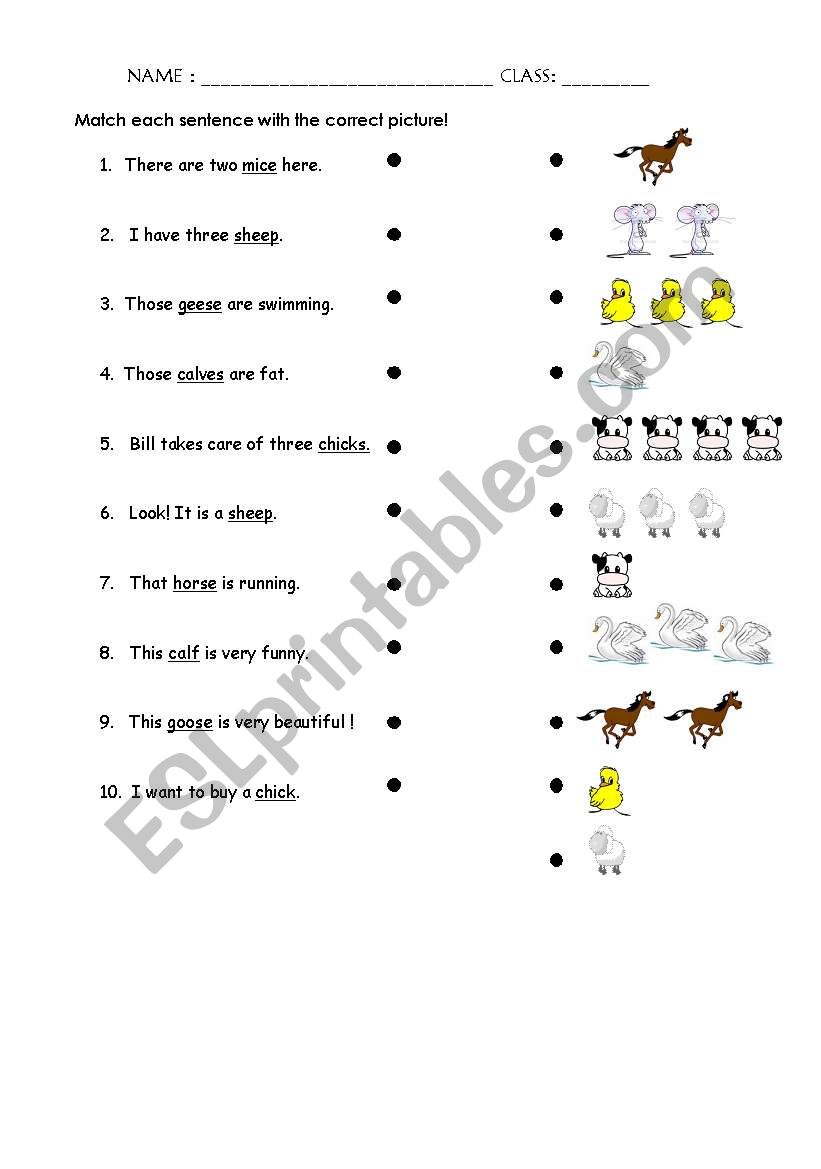 plural form worksheet