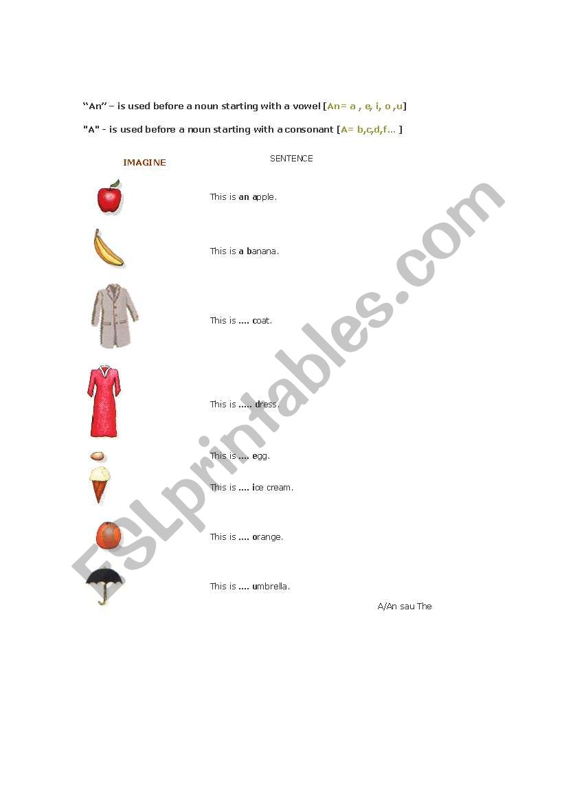 The Definite and Indefinite Article