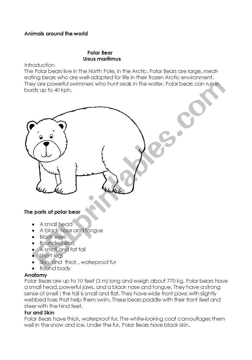 polar bears worksheet