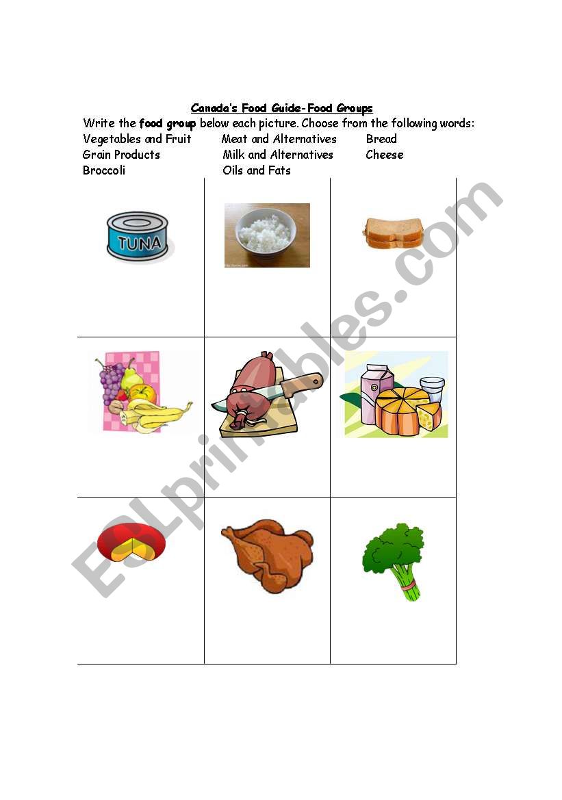 Food Group Puzzle worksheet