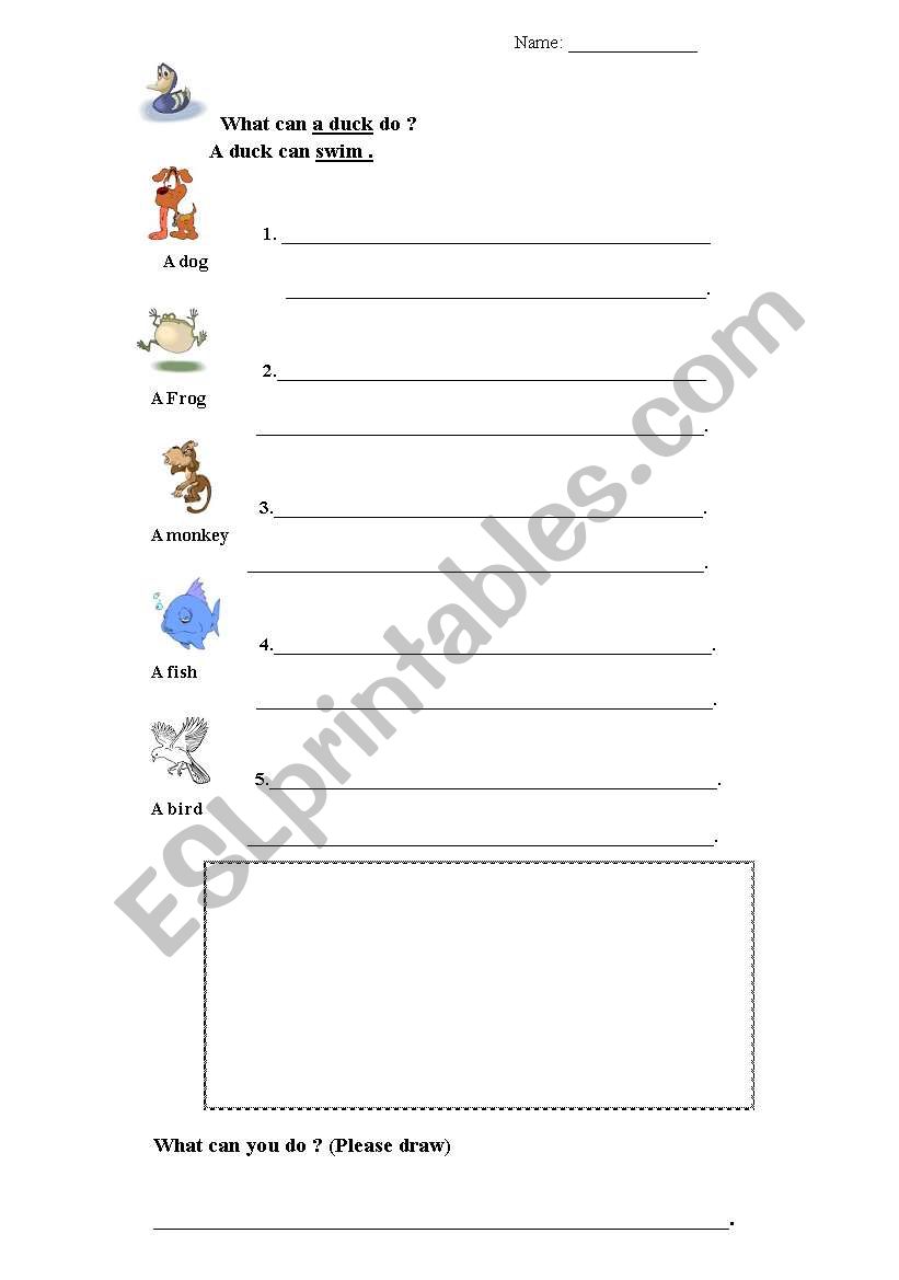 What can these animals do ? worksheet