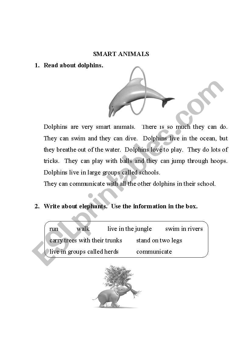 Can -cant worksheet