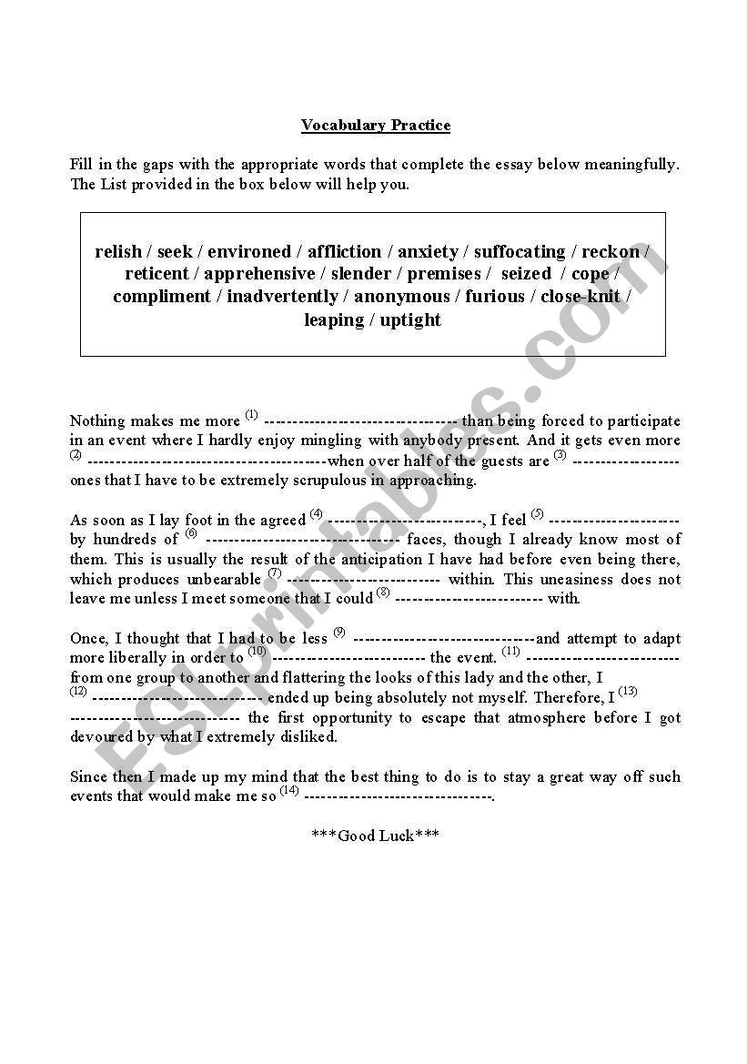 Vocabulary Practice worksheet