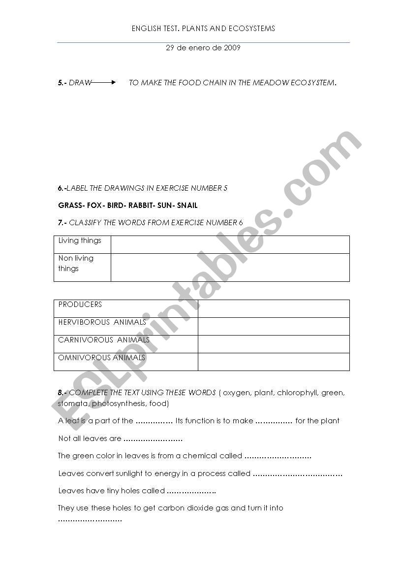 jobs and professions worksheet