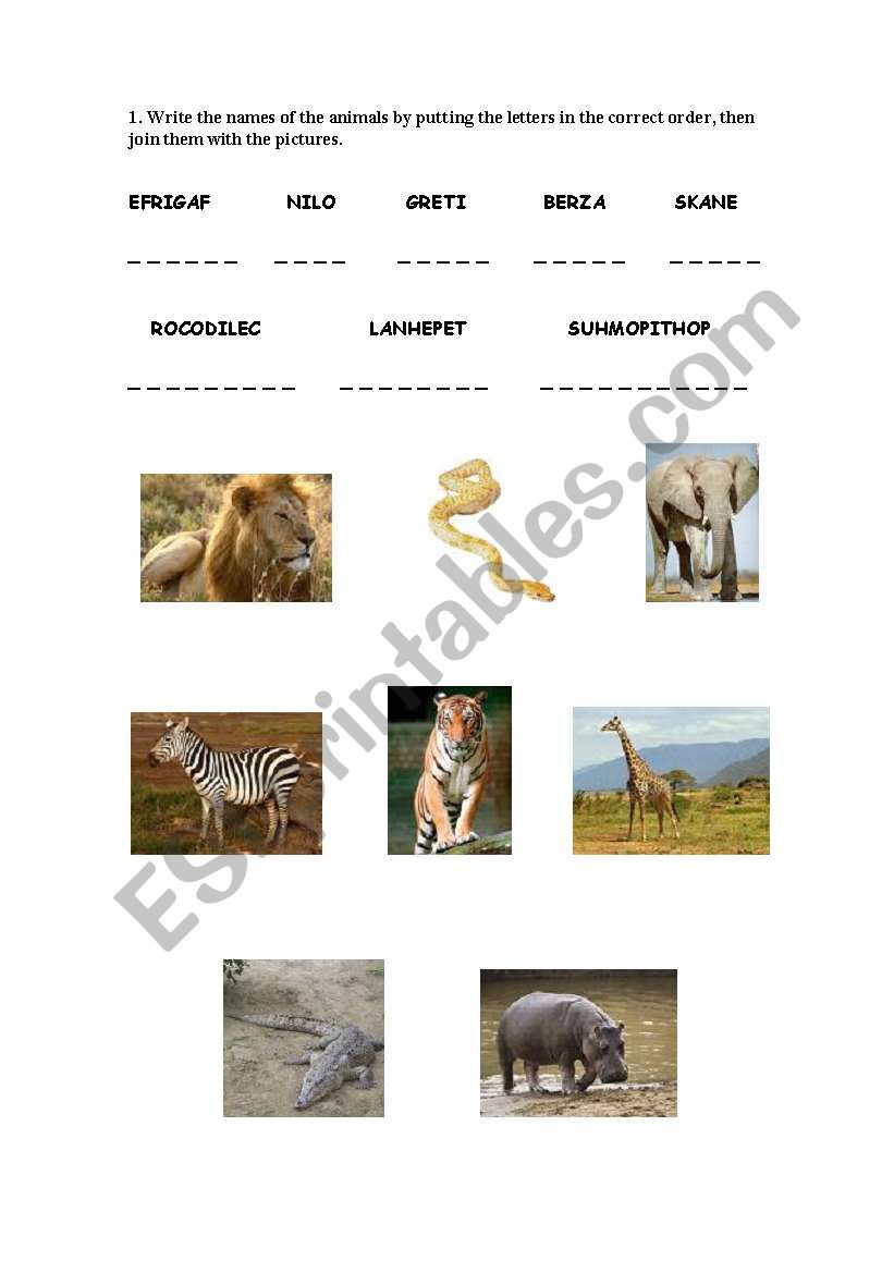 Animals in Africa worksheet