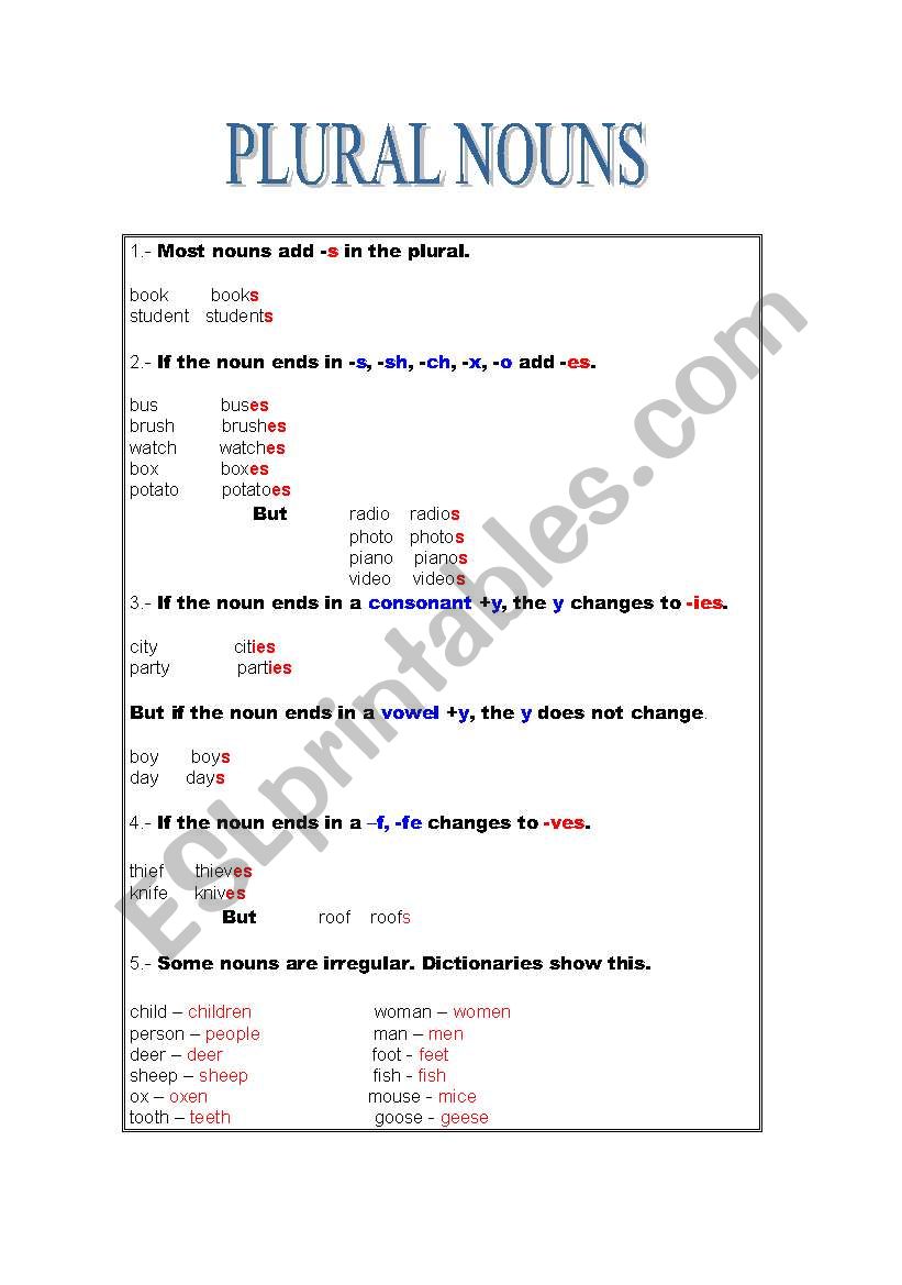 PLURAL NOUNS worksheet