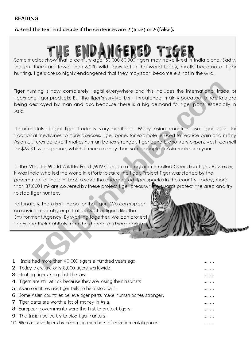 Integrated Skills-Pre-FCE worksheet