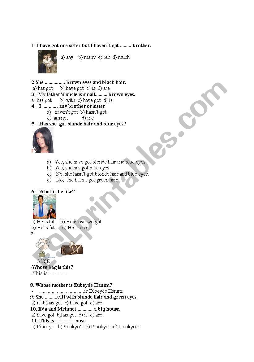 have/has got and hobbies worksheet