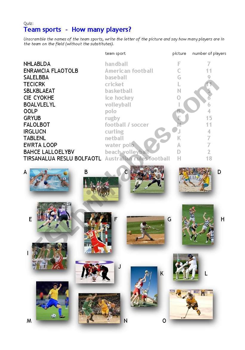 Team Sports Quiz worksheet
