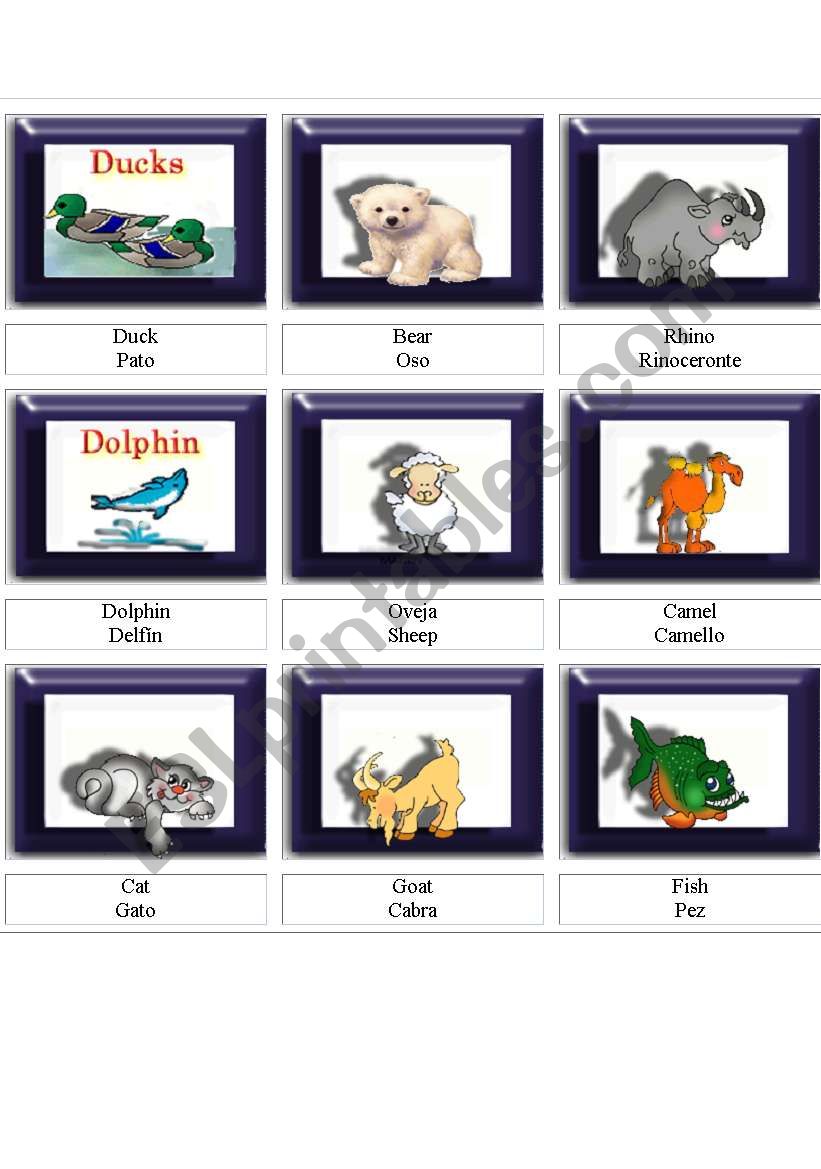 ANIMALS worksheet