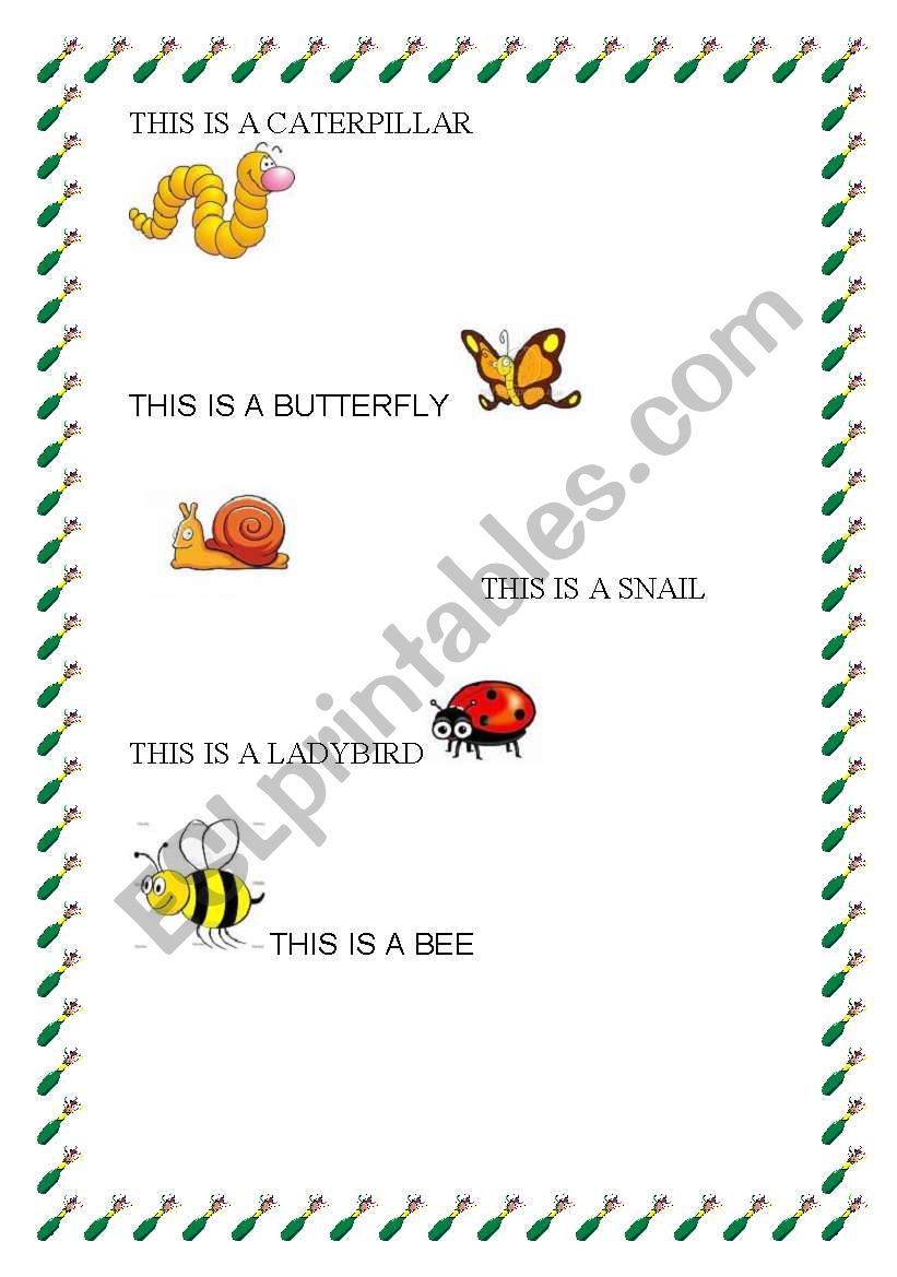 MY BUGS worksheet