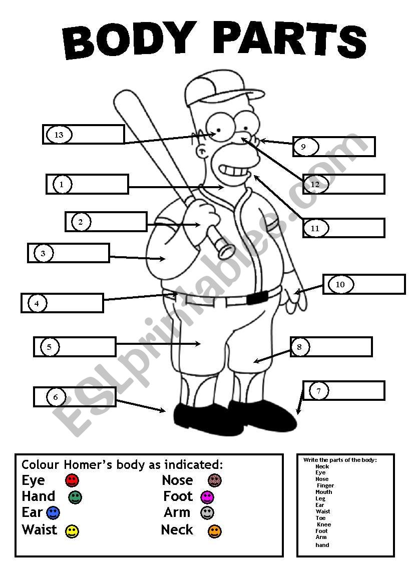 HOMER´S BODY PARTS - ESL worksheet by JUANBEGI