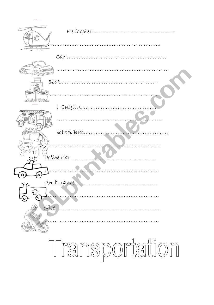 Transport worksheet