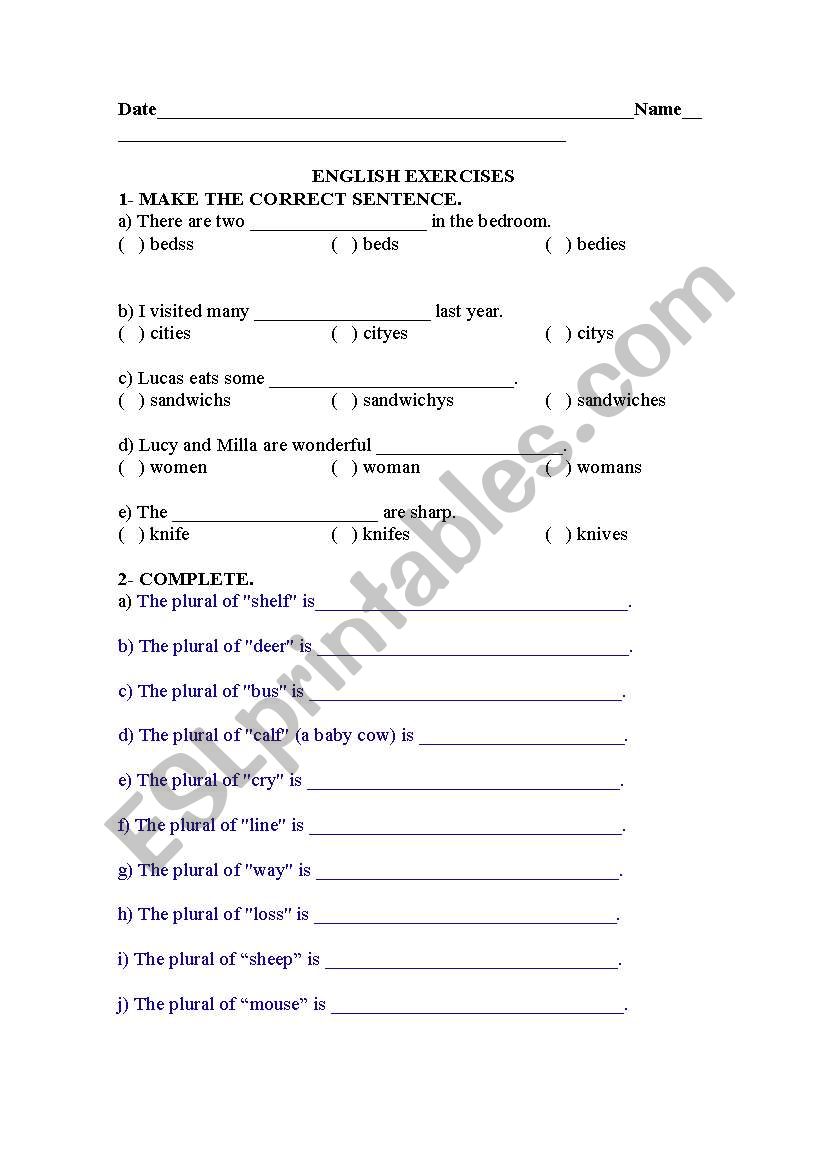 PLURAL worksheet