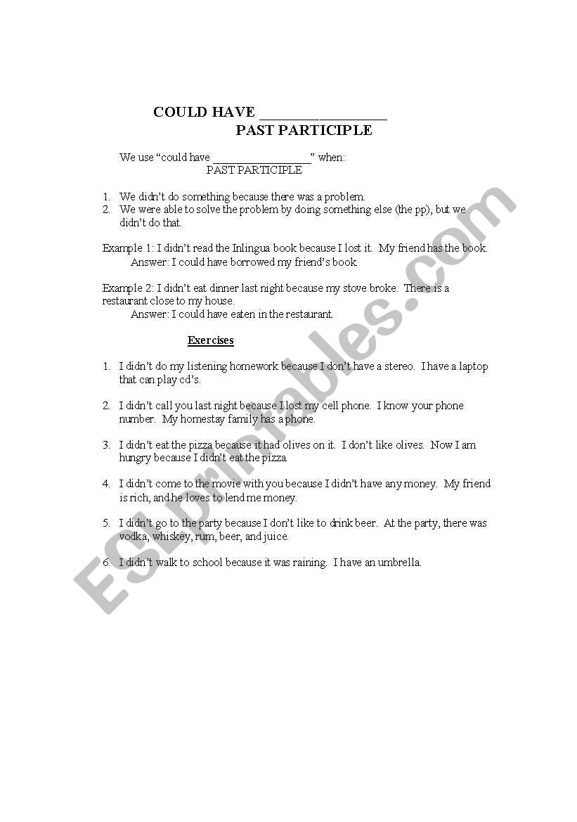 could + perfect tense worksheet