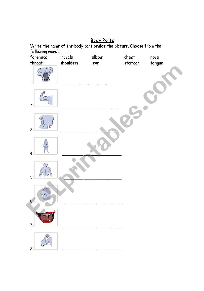 Name the Body Part worksheet