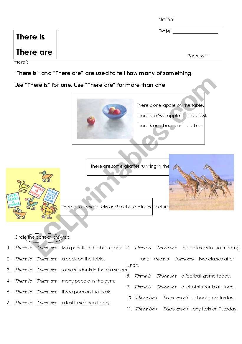 Practice Worksheet for there is and there are