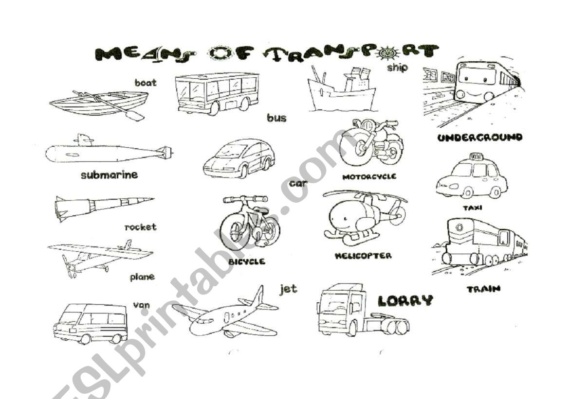 Means of transport worksheet