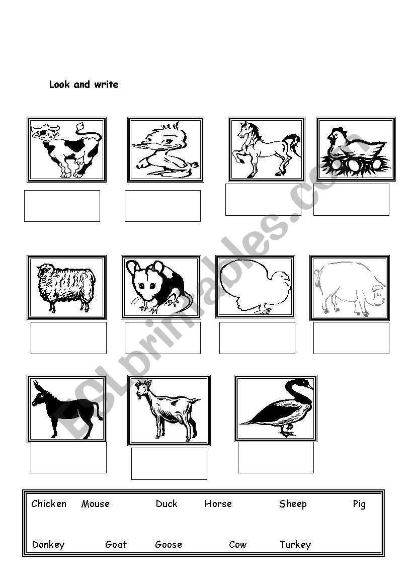 farm animals worksheet