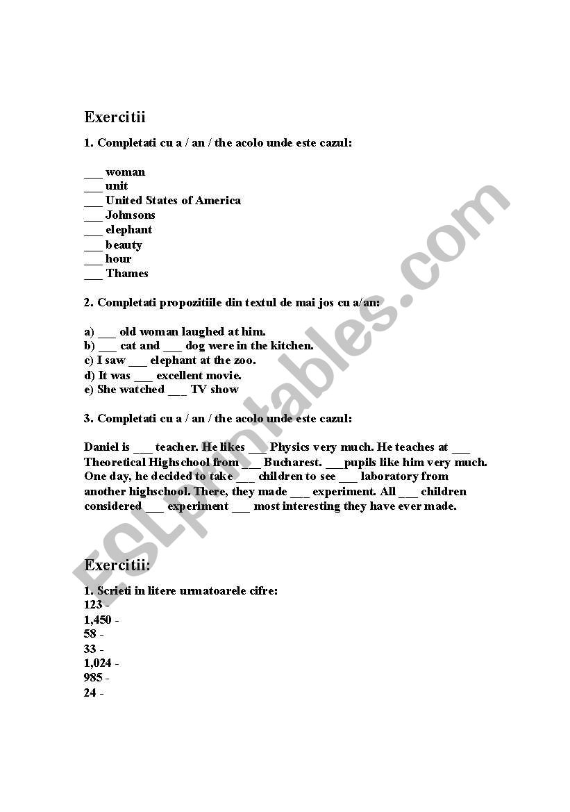  the article and the numeral worksheet