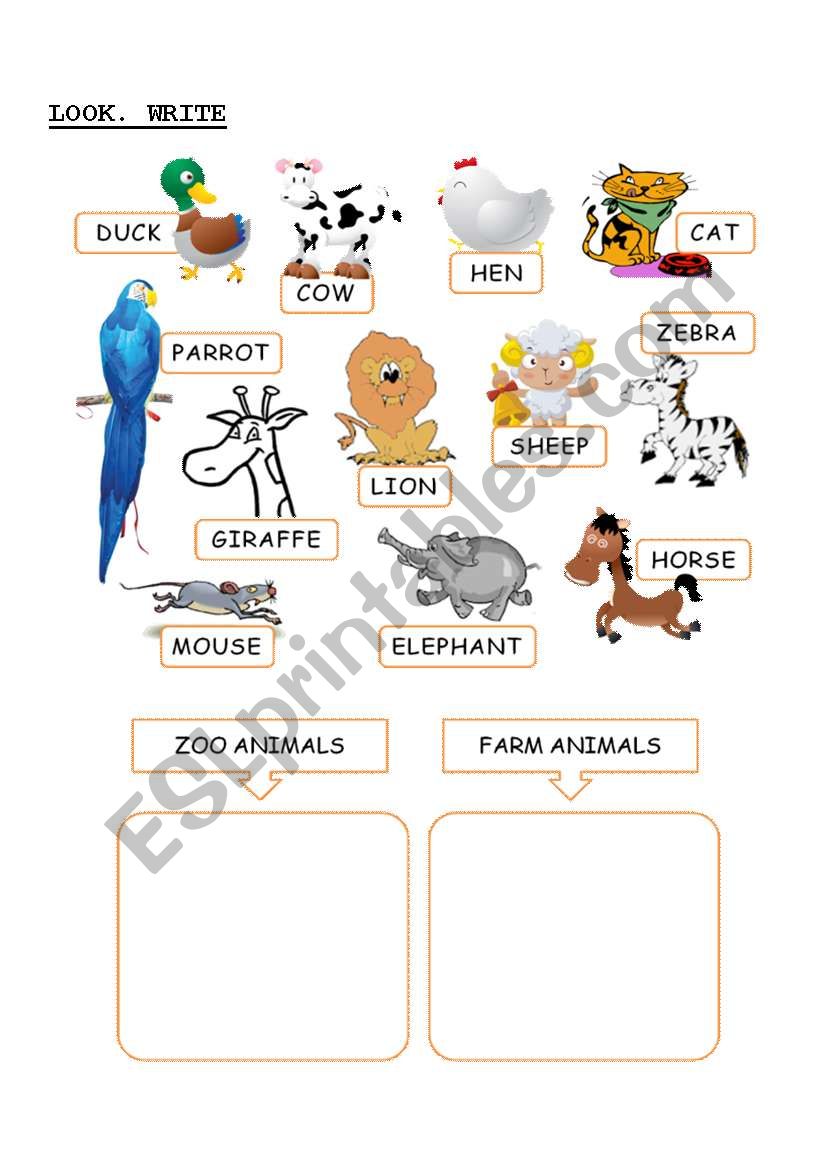 farm or zoo animal esl worksheet by mercedes bueno