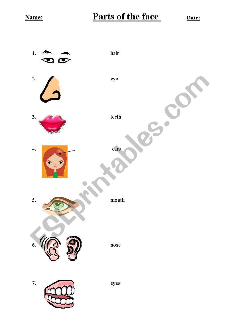 Parts of the face word match worksheet