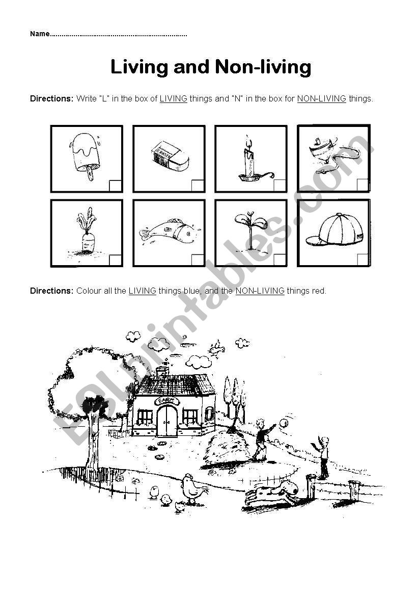 Living and Non-living things worksheet