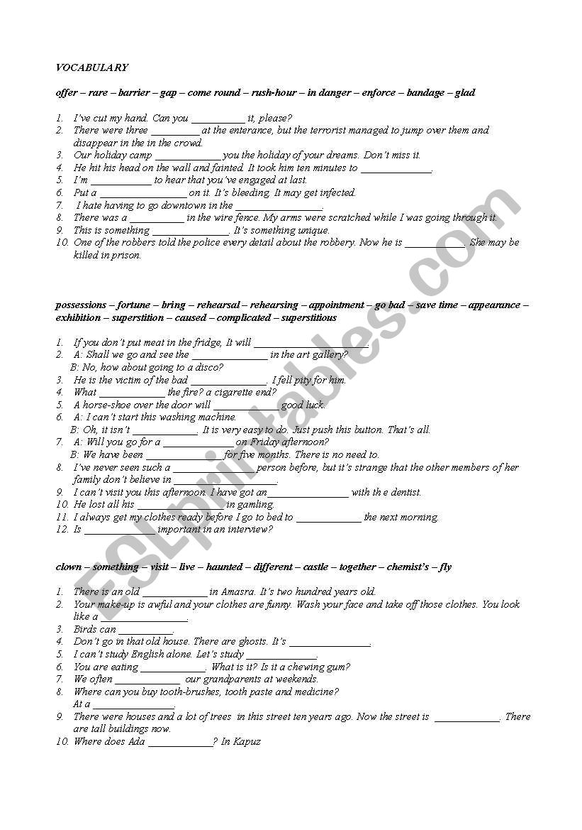 vocabulary  worksheet