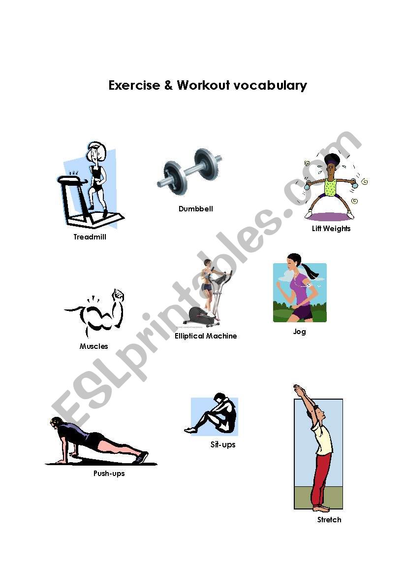 Exercise and Workout Vocabulary