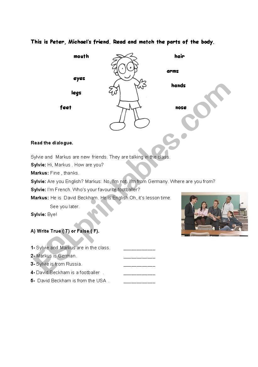 body parts- reading passage  worksheet
